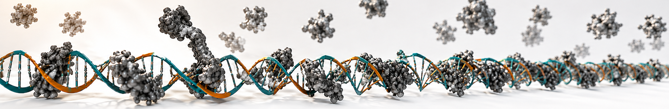 RNA molecular visualization