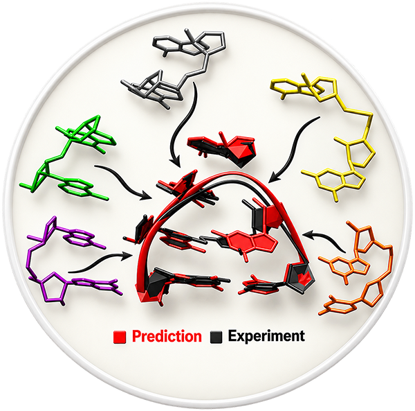 Simulation and NMR comparison from nucleic acid modeling research