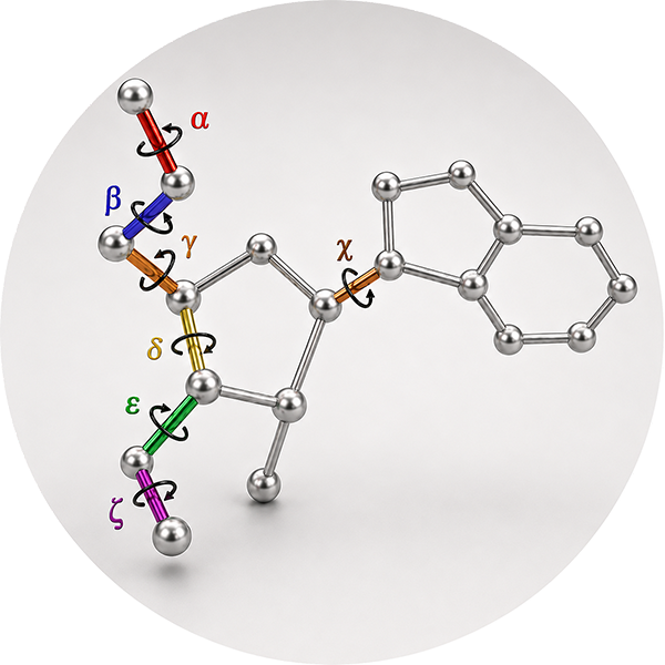 Nucleic acid torsion angles used in force-field research