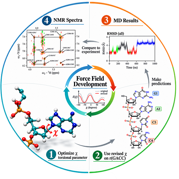 Nucleic-acid torsions used in force-field development and validation.