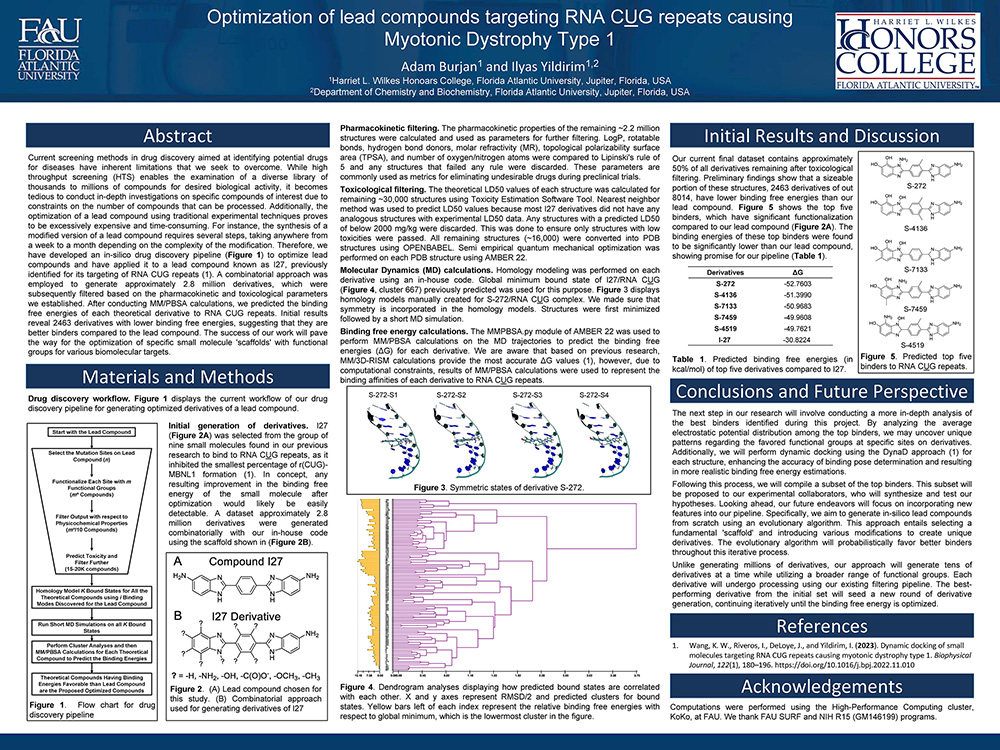 5. Optimization of Lead Compounds