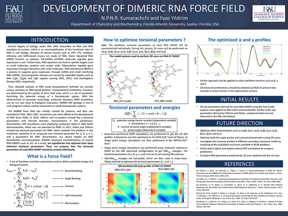 4. RNA DNMP Force Field