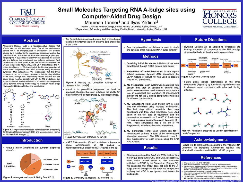 7. Small Molecule–RNA A-bulge
