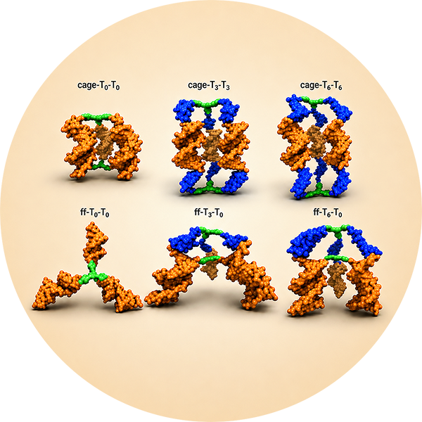 Small molecule–DNA hybrid nanostructures.